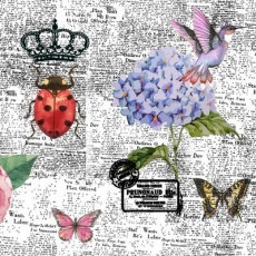 Collage mit Zeitung, Marienkäfer, Schmetterling, Vogel, Blumen.... - Collage with newspaper, ladybug, butterfly, bird, flowers .... - Collage avec journal, coccinelle, papillon, oiseau, fleurs ....