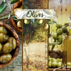 Mein Olivengarten - My Olive garden - Mon jardin doliviers