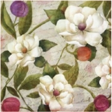 Blüten & Knospen auf Brief - Blossoms & buds on letter - Fleurs et bourgeons sur lettre