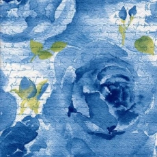 Rosen und Geschriebenes blau - Roses and Writing blue - Roses et écrit bleu