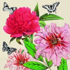 Volle Blüten & 3 Schmetterlinge - Full flowers & 3 butterflies - Fleurs complètes et 3 papillons