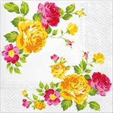 Rosen in voller Blüte - Roses in full blossom - Des roses en pleine floraison