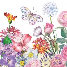 Zarter Schmetterling im Blumengarten - Delicate butterfly in the flower garden - Papillon délicat dans le jardin de fleurs