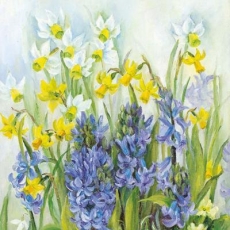 Weiße & Gelbe Narzissen mit Hyazinthen - White & yellow daffodils with hyacinths - Jonquilles blanches et jaunes avec des jacinthes
