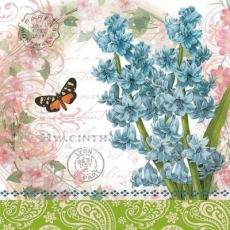Schmetterling & Hyazinthe - Butterfly & Hyacinth - Papillon et jacinthe