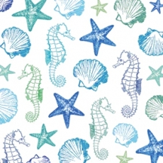 Seepferdchen, Muscheln & Seesterne - Seahorses, shells & starfish - Hippocampes, coquillages et étoiles de mer