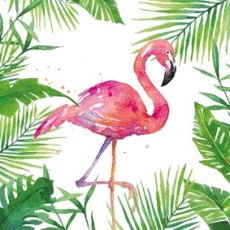 tropischer Flamingo - Tropical Flamingo - Flamant tropical