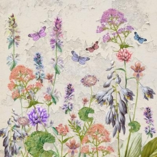 Schmetterlinge im Blumengarten - Butterflies in the flower garden - Papillons dans le jardin de fleurs