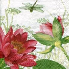 wunderschöne Lilien & Libelle - beautiful lilies & dragonfly - beaux lys et libellule