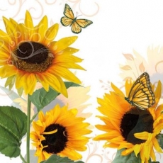 2 Schmetterlinge & Sonnenblumen - 2 butterflies & sunflowers - 2 papillons et tournesols