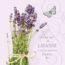 Lavendelstrauss, Schmetterling & Geschriebenes - Lavender Bouquet, Butterfly & Written - Bouquet de lavande, papillon et écrit