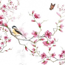 Vogel, Schmetterling & Blütenzweige - Bird, butterfly & flowering branches - Oiseau, papillon et branches fleuries