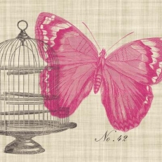 2 große Schmetterlinge und Vogelkäfige - 2 large butterflies and bird cages - 2 grands papillons et cages à oiseaux