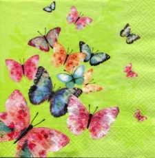 viele bunte Schmetterlinge - many colorful butterflies - de nombreux papillons colorés