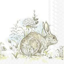 Häschen, Hase auf der Wiese - Bunny, hare on the meadow - Bunny, le lièvre sur le pré