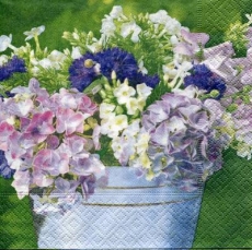 Hortensien im Eimer - Hydrangeas in a bucket - Hortensias dans un seau