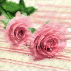 2 zarte Rosen - 2 delicate roses - 2 roses délicates