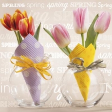 Tulpen in 2 Glasvasen & 2 Servietten - Tulips in 2 glass vases & 2 napkins - Tulipes dans 2 vases en verre et 2 serviettes