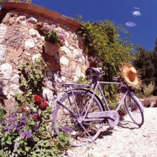 lila Fahrrad mit Strohhutsteht in einer wunderschönen Landschaftpurple bicycle with straw hat standing in a beautiful landscape - vélo violet avec chapeau de paille debout dans un beau paysage