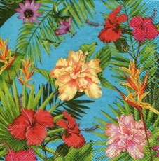 tropische Pflanzen & Blüten - tropical plants & flowers - plantes tropicales et fleurs