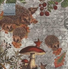Igelfamilie im Herbst - Hedgehog family in autumn - Famille hérisson en automne