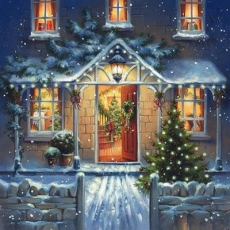 ein Haus, weihnachtlich geschmückt - a house decorated for Christmas - une maison décorée pour Noël