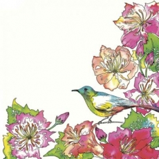 exotischer Vogel im farbenprächtigen Blütenrahmen - exotic bird in a colorful flower frame - oiseau exotique dans un cadre de fleurs colorées