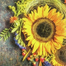 Sonnenblume mit einen herbstlichen Arrangement - Sunflower with an autumnal arrangement - Tournesol avec un arrangement automnal