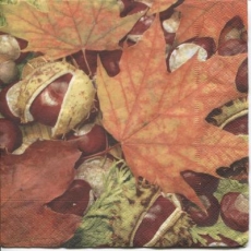 Kastanien & Kastanienblätter - Chestnuts and chestnut leaves - Châtaignes et feuilles de châtaignier