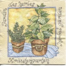 Kräutertöpfe - potted herbs - herbes en pot