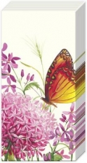 Allium & Schmetterling - Allium & Butterfly - Allium et papillon