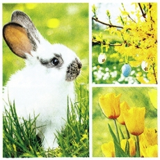 Hase, Tulpen & bunte Eier am Osterstrauch - Rabbit, tulips & colorful eggs on the Easter shrub - Lapin, tulipes et œufs colorés sur l arbuste de Pâques