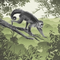 Affe klettert auf Baum - Monkey climbs on tree - Singe grimpe sur un arbre