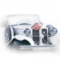 Hochzeitsauto - Wedding Car - Voiture de mariage