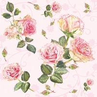 schöne Rosen auf rosee - beautiful roses on rosee - belles roses sur rose