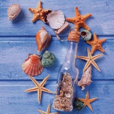 Flaschenpost mit Seesterne & Muscheln vor einer blauen Holzwand - Message in a bottle with starfish and shells in front of a blue wooden wall - Message dans une bouteille avec étoile de mer et coquill