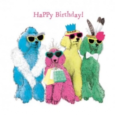 bunte, tierische Geburtstagswünsche - colorful, animal birthday wishes - souhaits d anniversaire coloré, animal