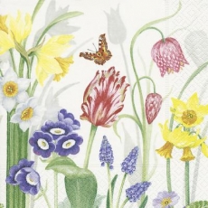 gemalte Frühlingsblumen & Schmetterling - painted spring flowers & butterfly - papillon et fleurs printanières peintes