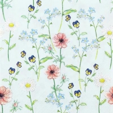 kleine Gartenblumen - small garden flowers - petites fleurs de jardin
