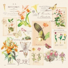 Orchideen, Schmetterlinge & Geschriebenes - Orchids, Butterflies & Written - Orchidées, Papillons & Ecrits