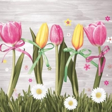 Rosa & Gelbe Tulpen - Pink & yellow tulips - Tulipes roses et jaunes