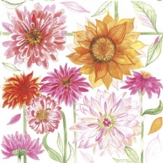 schön gezeichnete Gartenblumen - beautifully drawn garden flowers - fleurs de jardin magnifiquement dessinées