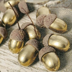 goldene Eicheln - golden acorns - glands d or