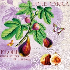 Fruchtfeigen, Schmetterling & Geschriebenes - Fruit figs, butterfly & written - Fruits figues, papillon & écrit