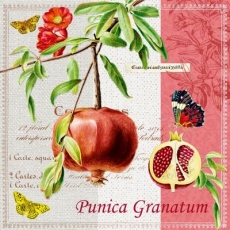 Granatapfel, Schmetterlinge & Geschriebenes - Pomegranate, Butterflies & Written - Grenade, Papillons & Ecrits