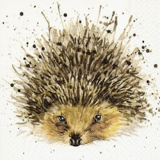 gemalter Igel - painted hedgehog - hérisson peint