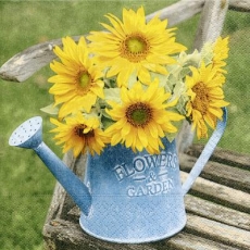 Sonnenblume in einer Gieskanne auf einer Holzbank - Sunflower in a watering can on a wooden bench - Tournesol dans un arrosoir sur un banc en bois