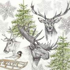 winterliche Tierwelt - winter wildlife - la faune de hiver