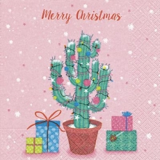 Weihnachtskaktus & Geschenke - Christmas Cactus & Gifts - Cactus de Noël et cadeaux