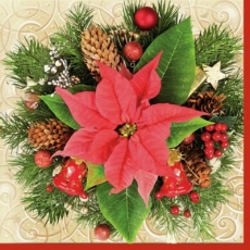 Zweige, Zapfen, Sterne & Weihnachtstern - Branches, cones, stars & christmas stars - Branches, cônes, étoiles et étoiles de Noël